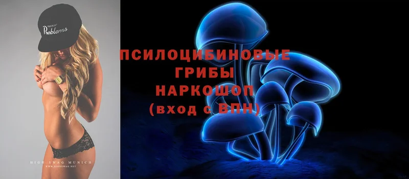 купить  цена  Звенигород  Псилоцибиновые грибы Cubensis 